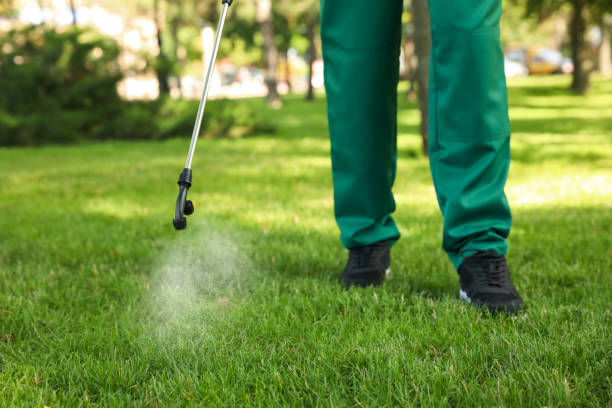 Best Residential Pest Control  in Hurt, VA