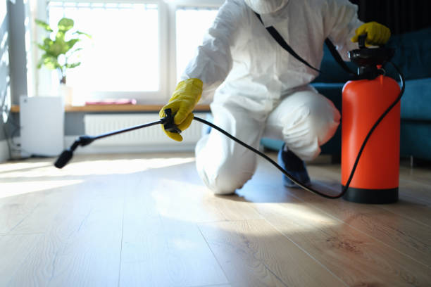 Best Local Pest Control Services  in Hurt, VA