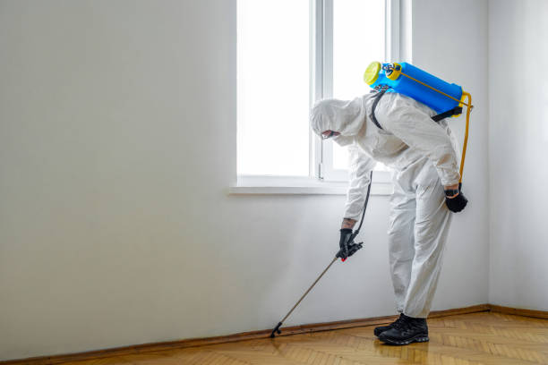 Flea Control Services in Hurt, VA