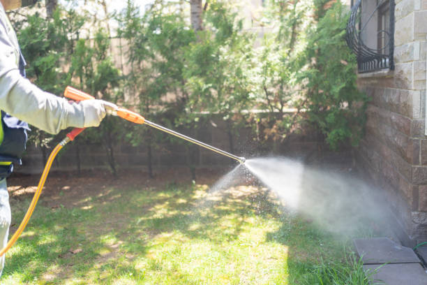 Best Emergency Pest Control  in Hurt, VA