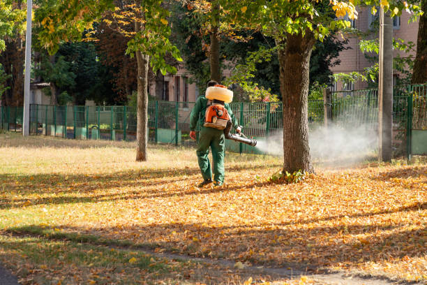 Best Local Pest Control Services  in Hurt, VA