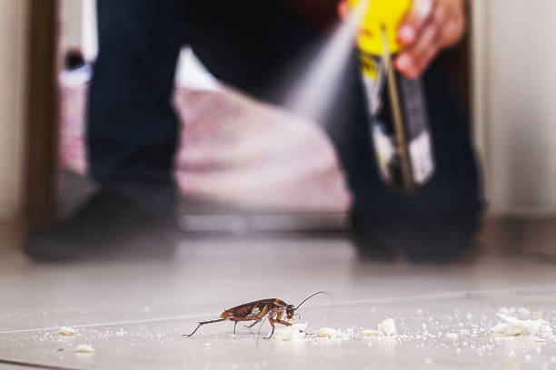 Best Pest Control Near Me in Hurt, VA