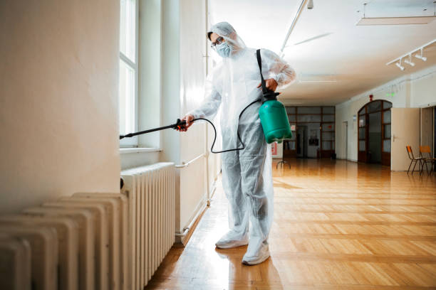 Best Wasp Removal Services  in Hurt, VA