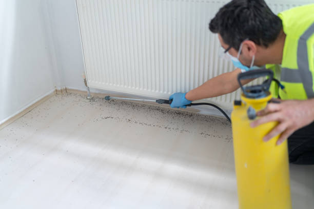 Best Cockroach Control Services  in Hurt, VA