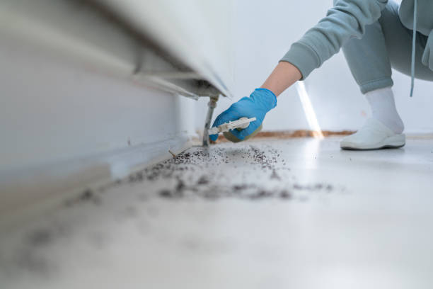 Best Termite Control Services  in Hurt, VA